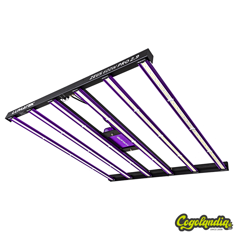 Zeus 600 W Pro 2.9 - Lumatek