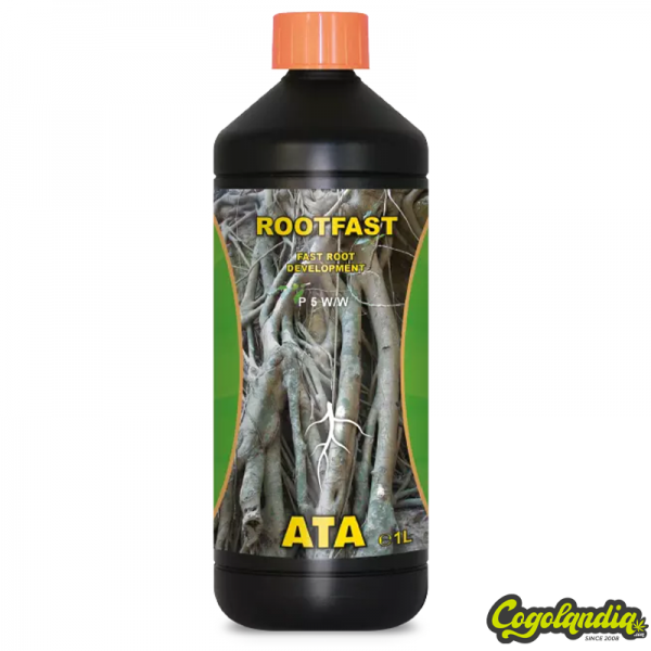 Rootfast - Atami