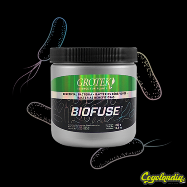 Biofuse (Bacterias...