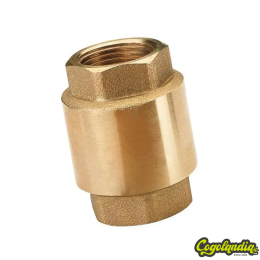 Válvula De Retención 1" Riego