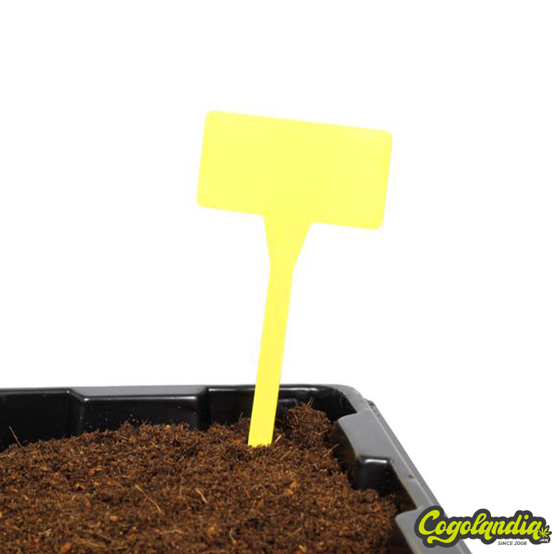 Etiquetas de Pincho Herramientas y accesorios