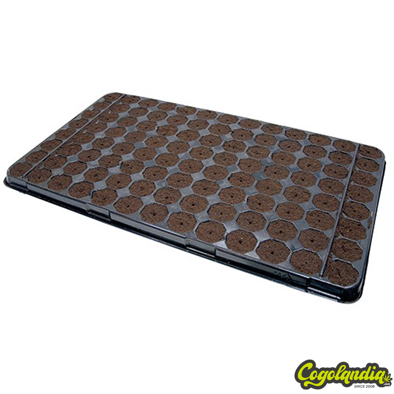 Bandeja Plugins - THC