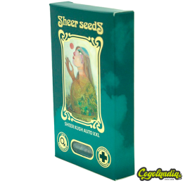 Sheer Kush - Sheer Seeds