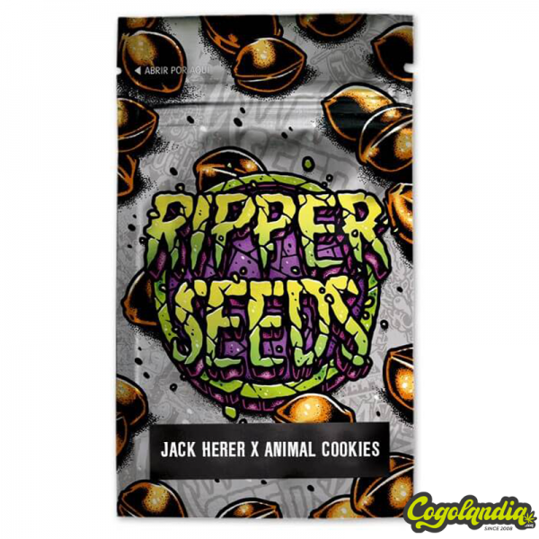Jack Herer x Animal cookies E.L - Ripper Seeds