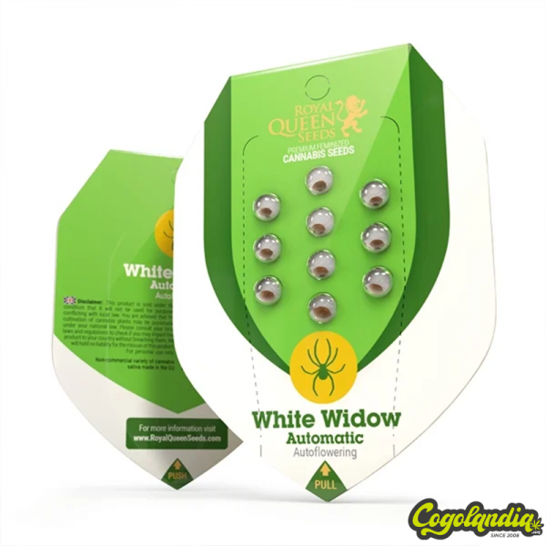 White Widow Auto - Royal Queen Seeds