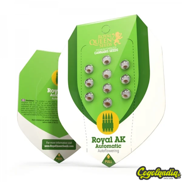 Royal Ak Auto - Royal Queen Seeds