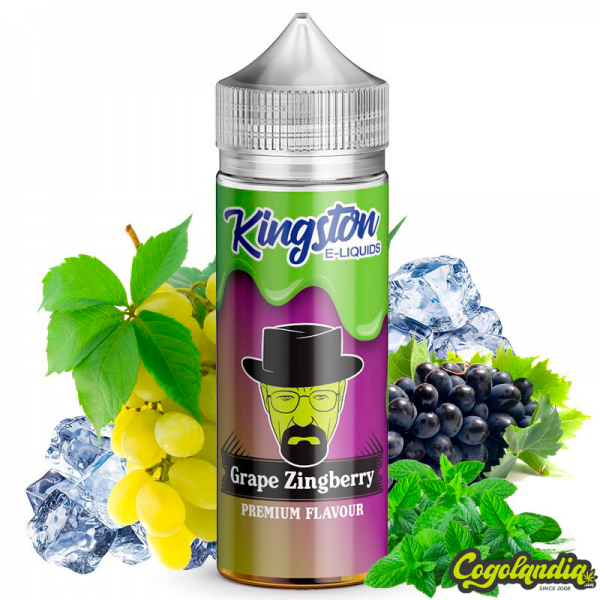 Kingston Zingberry sabores...