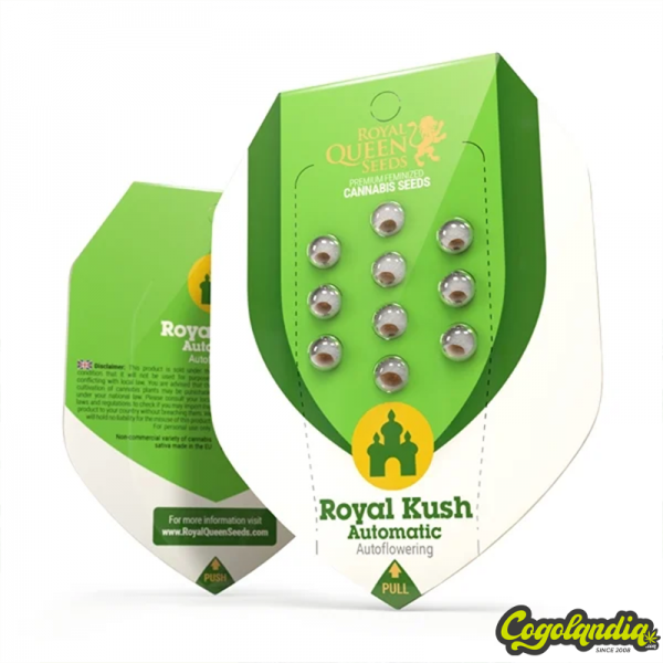 Royal Kush Auto - Royal Queen Seeds