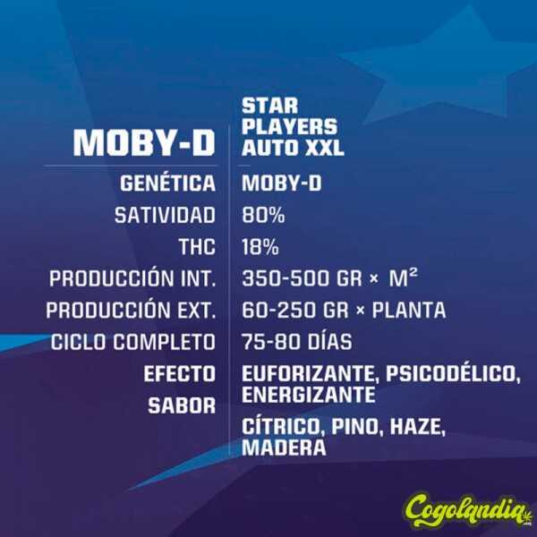 Moby-D XXL Auto - BSF