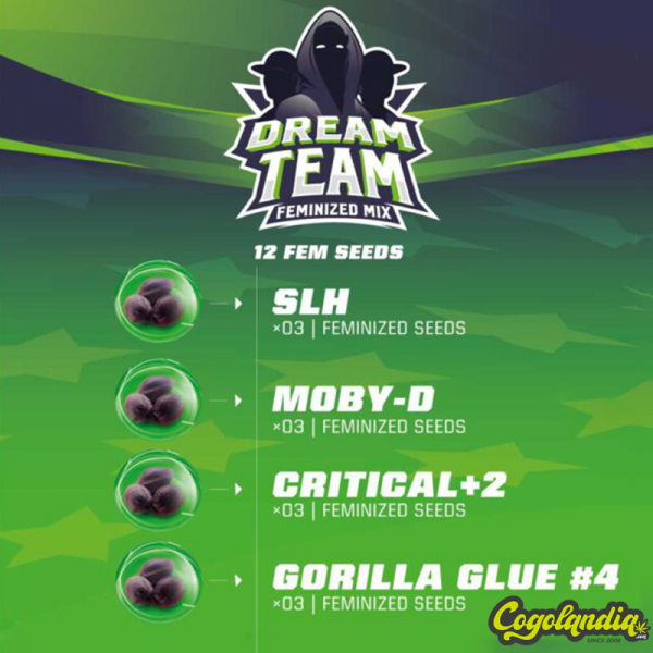 Dream Team Mix (12 Sem) -...