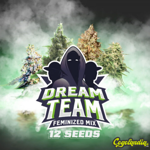 Dream Team Mix de BSF Seeds