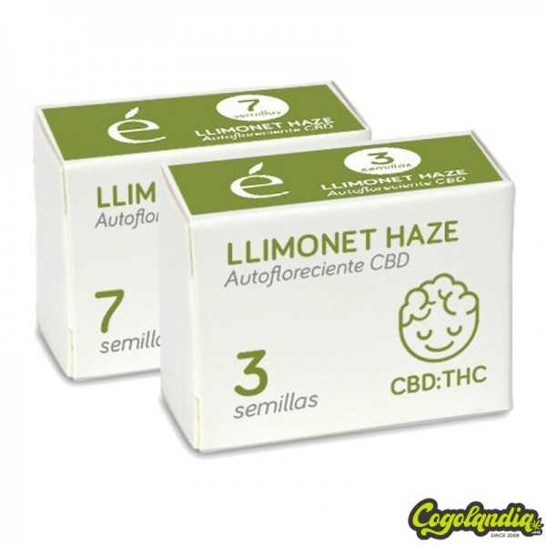 Llimonet Haze Auto CBD - Élite Seeds