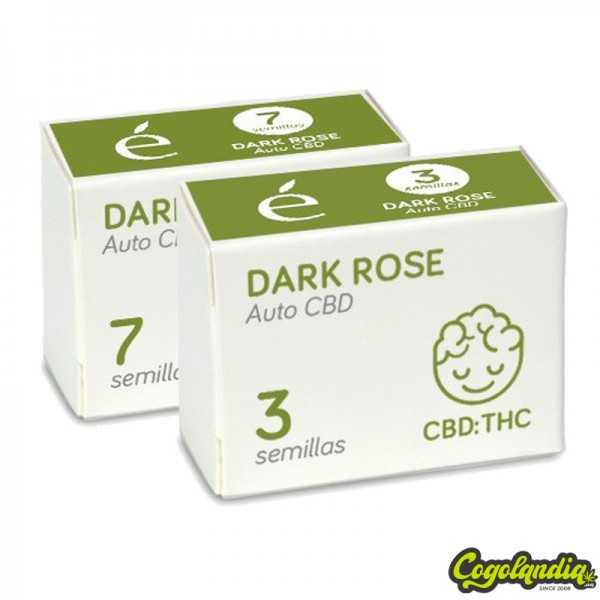 Dark Rose Auto CBD - Élite Seeds