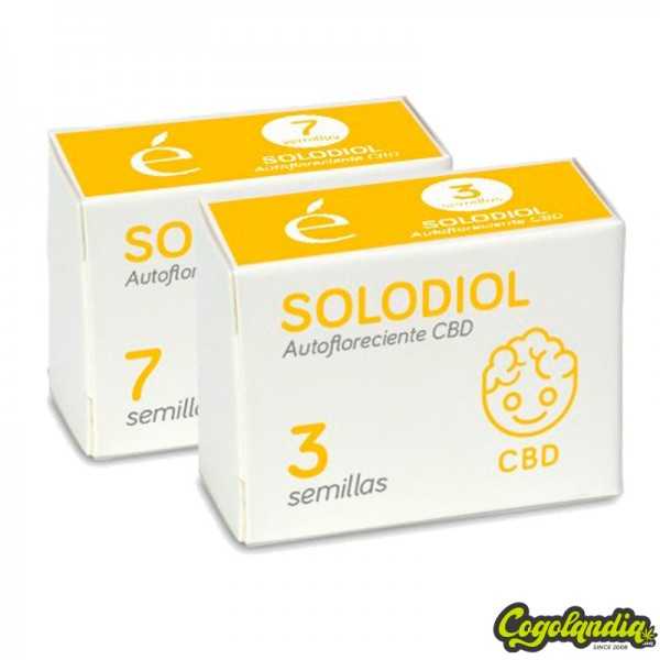 Solodiol Auto CBD - Élite Seeds
