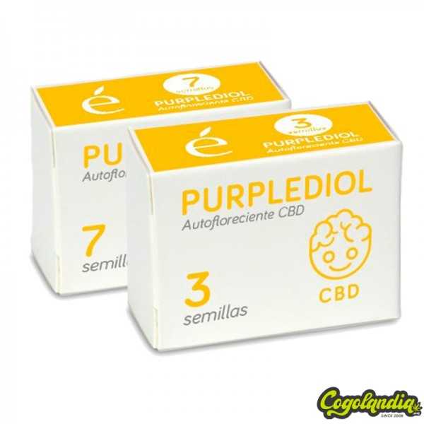 Purplediol Auto CBD - Élite Seeds