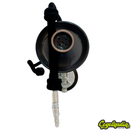 Bling Tommy G Shisha Sensation - Edición Limitada