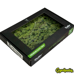 Bandeja de Vidrio Buds