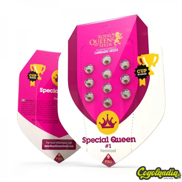 Special Queen 1 - Royal Queen Seeds