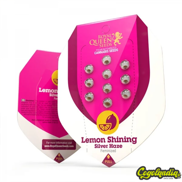 Lemon Shining Silver Haze - Royal Queen Seeds