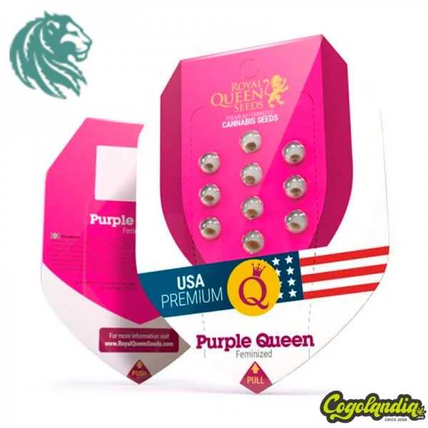 Purple Queen - Royal Queen...