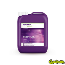 Start Up - Plagron
