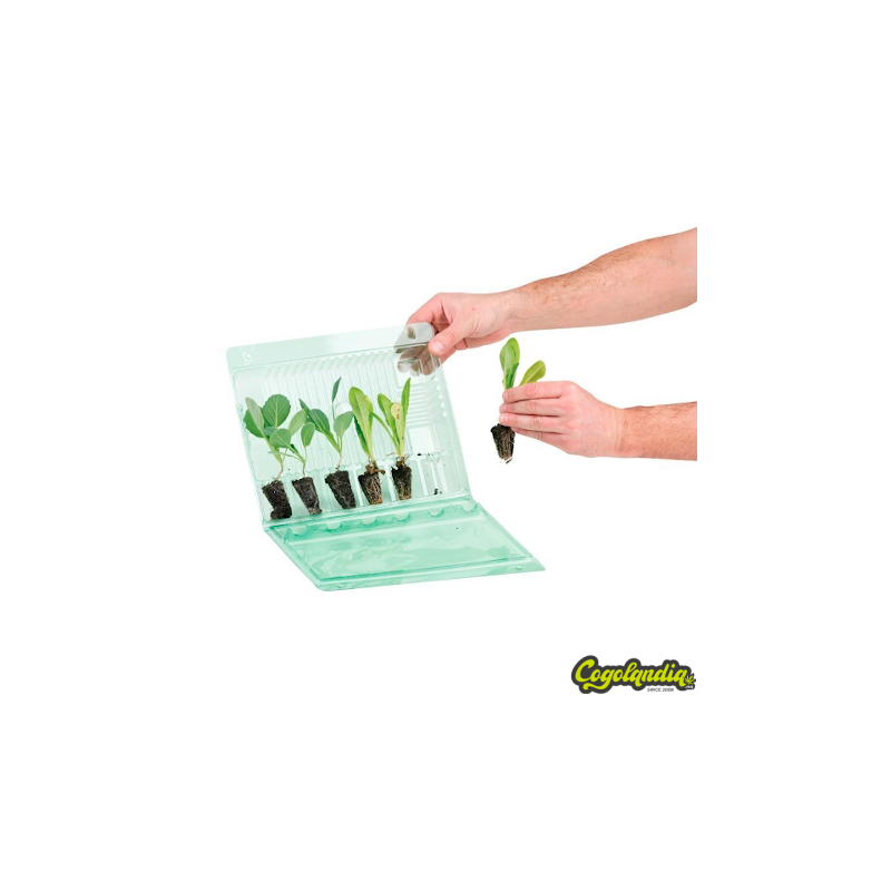 Funda Transporte 6 esquejes