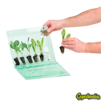 Funda Transporte 6 esquejes