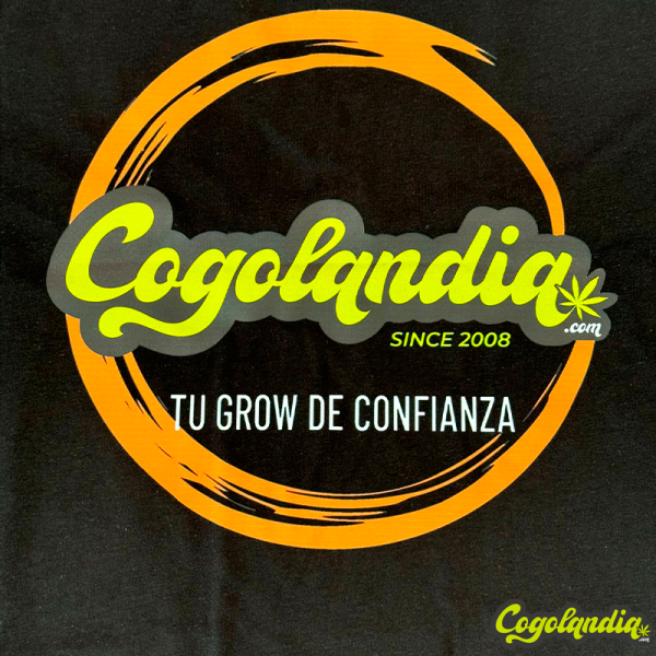 Camiseta Cogolandia