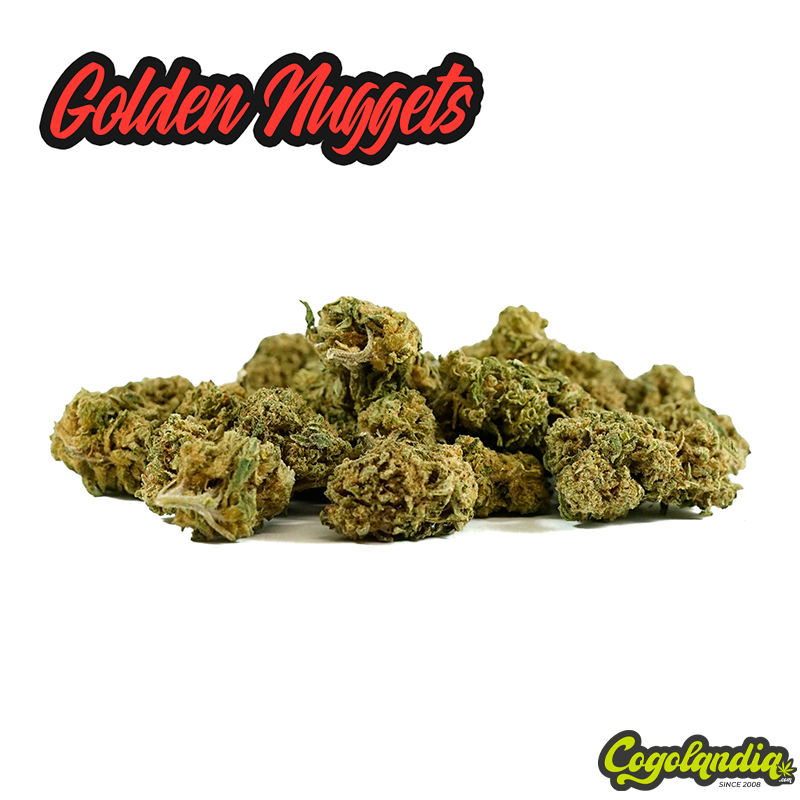 Golden Nugets Mini Buds - OnlyCBD 