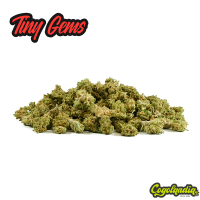 Tiny Gems Mini Buds - OnlyCBD