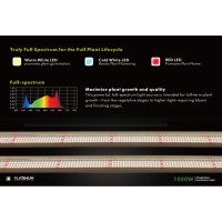 King Led 1000W - Platinum Horticulture