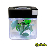 Bote Focus Comet - Smokus