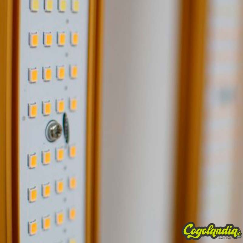 LED Supermax 1000W EVO - MJ3 Electronics