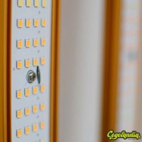 LED Supermax 1000W EVO - MJ3 Electronics