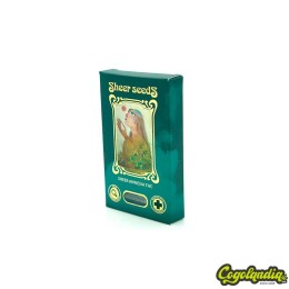 Sheer Amnesia THC - Sheer Seeds