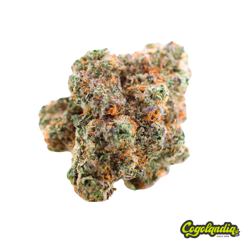 Flores Hidropónicas CBD - Maritrini CBD