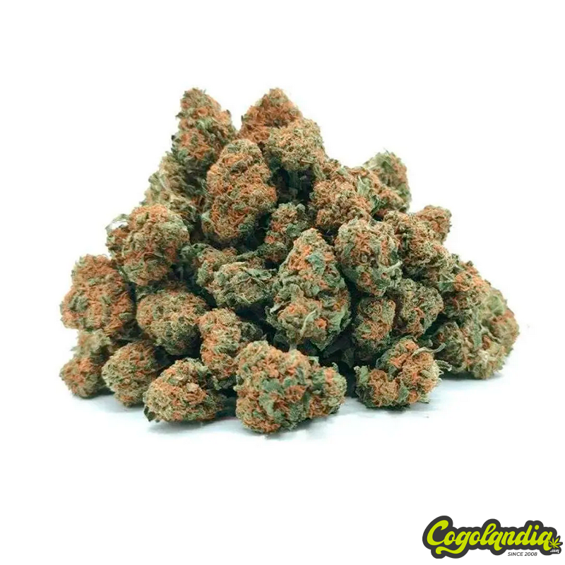 Small Buds Indor 10g CBD - Maritrini CBD