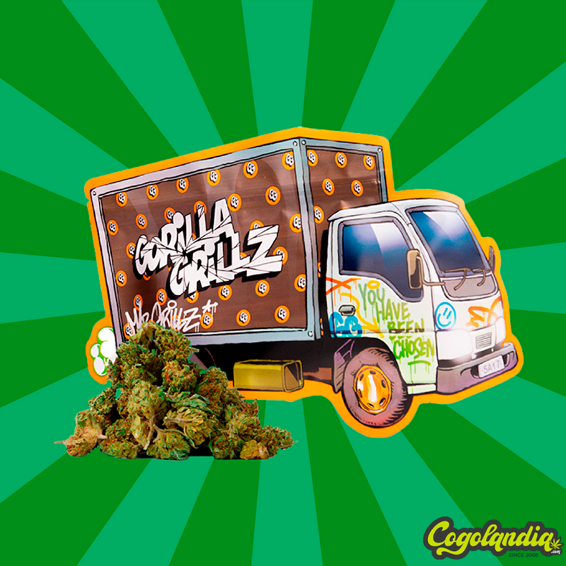 Small Buds CBD GreenHouse - Gorilla Grillz