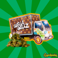 Small Buds CBD GreenHouse - Gorilla Grillz