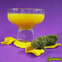 Cogollo de CBD Mango - The Luxe