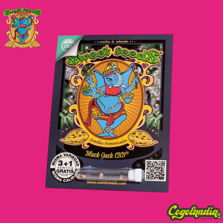 Black Jack CBD - Sweet Seeds Semillas CBD