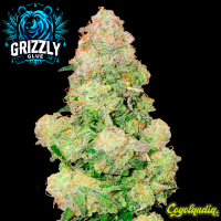 Glizzy Glue a granel 
