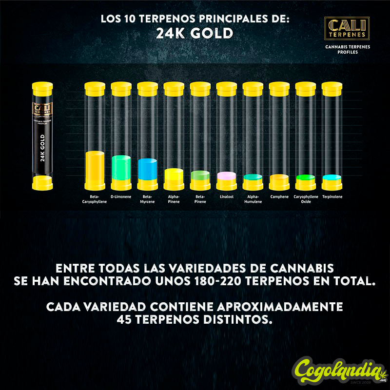 Terpenos 24K Gold 1 ml - Cali Terpenes