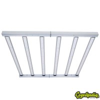 Foco LED June AC 720W - HortiLight