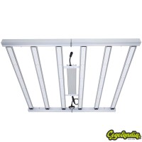 June DC LED Six Bar 660W - Hortilight 