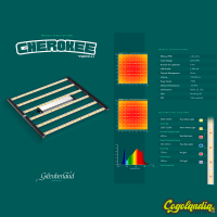 LED Cherokee 720w - Greenberg Land
