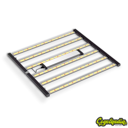 LED Cherokee 720w - Greenberg Land 