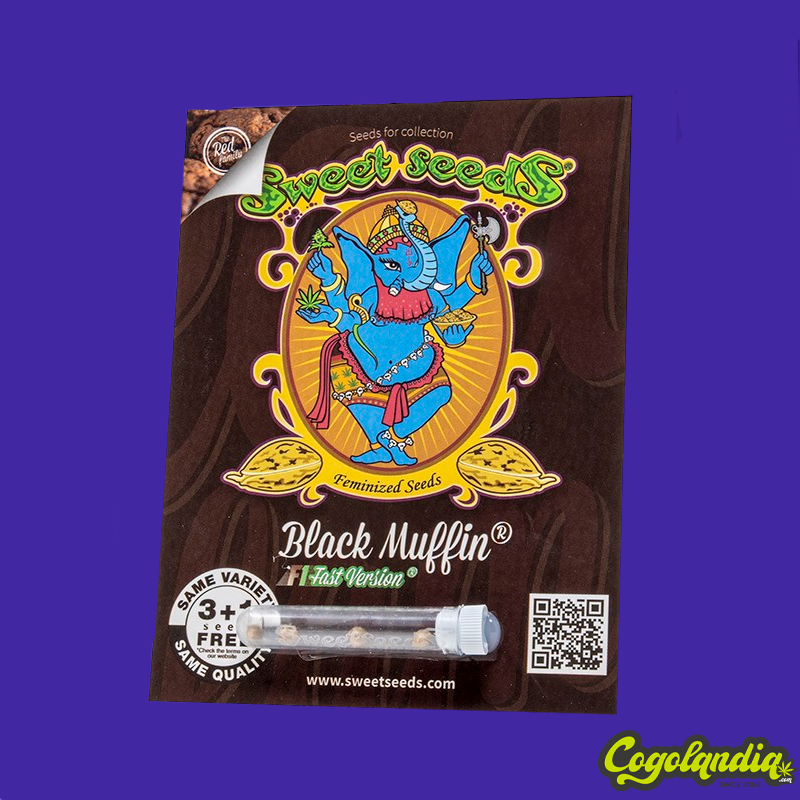 Black Muffin F1 Fast Version - Sweet Seeds Semillas Feminizadas