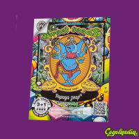 Papaya Zoap F1 Fast Version - Sweet Seeds Semillas Feminizadas