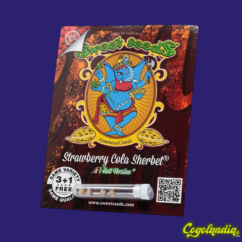 Strawberry Cola Sherbet F1 FV - Sweet Seeds